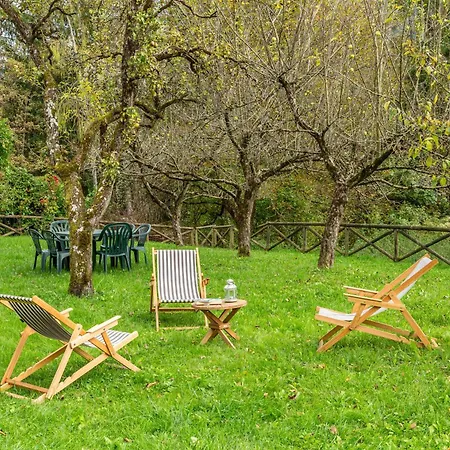 Garden Dream Apartament Valle di Cadore